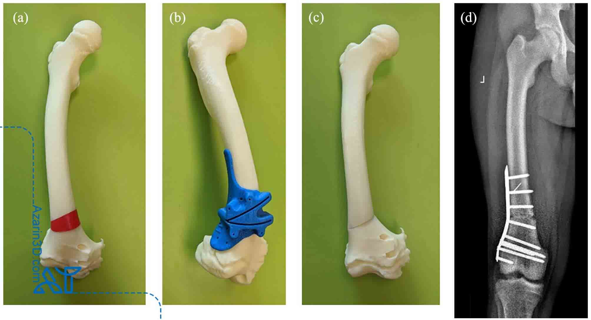 شبیه&zwnj;سازی بهتر بافت&zwnj;های انسانی