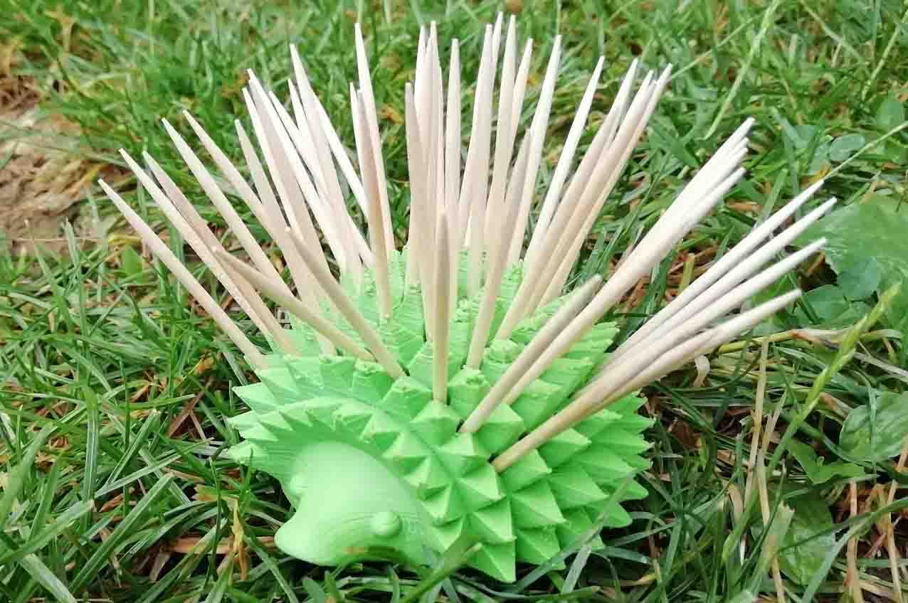 جای خلال&zwnj;دندان