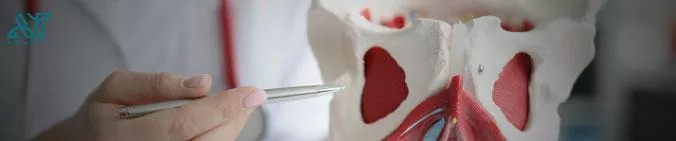 انقلاب دیجیتال در دندانپزشکی و پزشکی با فناوری ساخت افزایشی انقلاب دیجیتال در دندانپزشکی و پزشکی با فناوری ساخت افزایشی