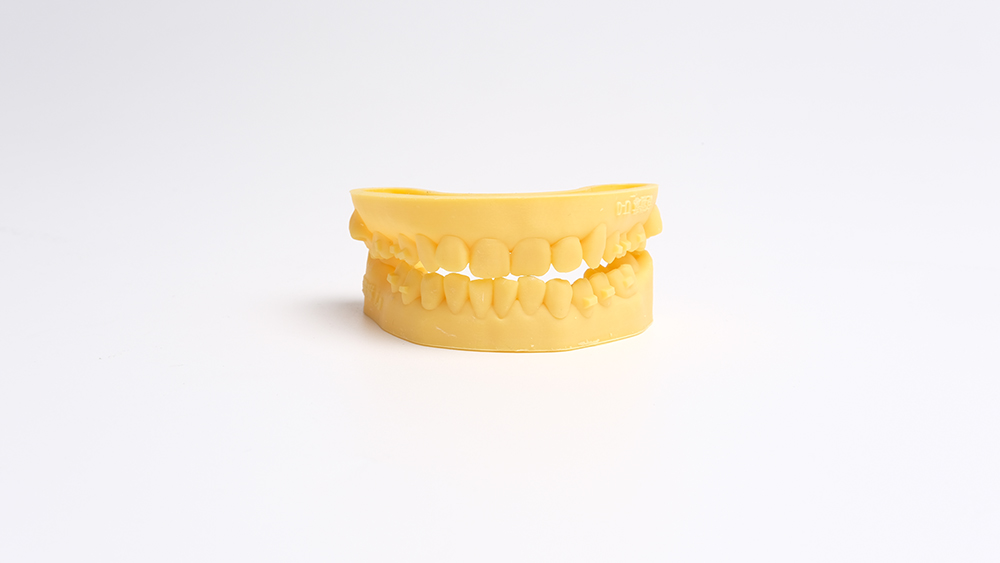 dental model resin